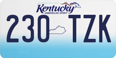 KY license plate 230TZK