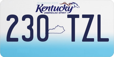 KY license plate 230TZL