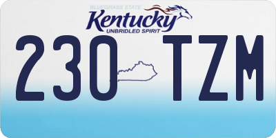 KY license plate 230TZM