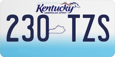KY license plate 230TZS