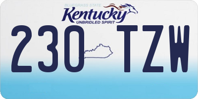 KY license plate 230TZW