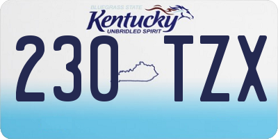 KY license plate 230TZX