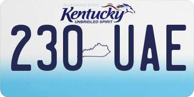 KY license plate 230UAE