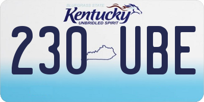 KY license plate 230UBE
