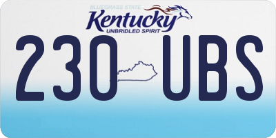 KY license plate 230UBS