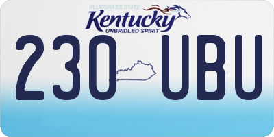 KY license plate 230UBU