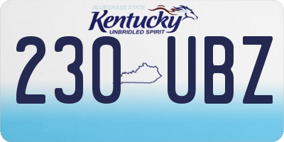 KY license plate 230UBZ