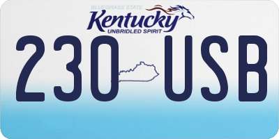 KY license plate 230USB