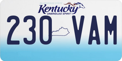 KY license plate 230VAM