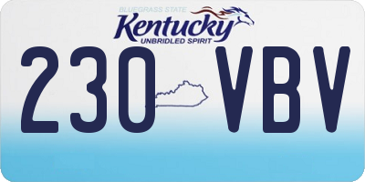 KY license plate 230VBV