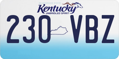 KY license plate 230VBZ