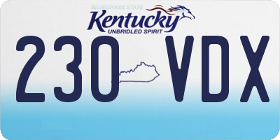 KY license plate 230VDX