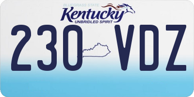 KY license plate 230VDZ