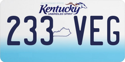 KY license plate 233VEG