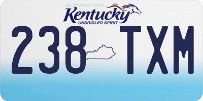 KY license plate 238TXM
