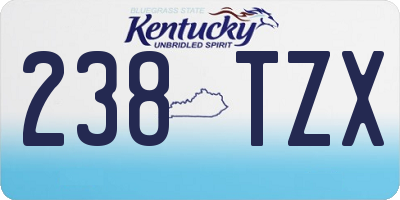 KY license plate 238TZX