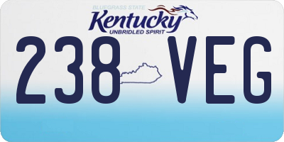 KY license plate 238VEG