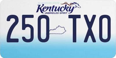 KY license plate 250TXO