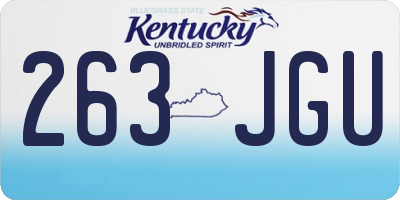 KY license plate 263JGU