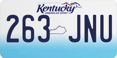 KY license plate 263JNU