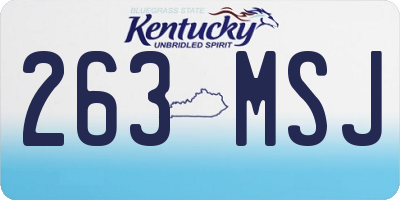 KY license plate 263MSJ