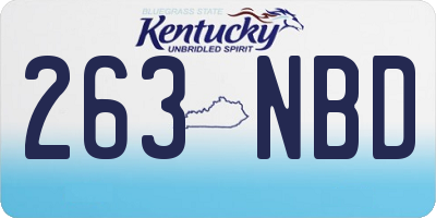 KY license plate 263NBD