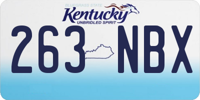 KY license plate 263NBX