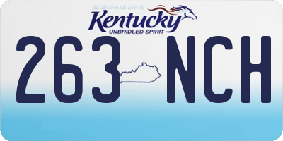 KY license plate 263NCH