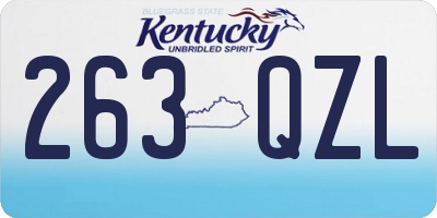 KY license plate 263QZL