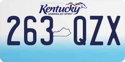 KY license plate 263QZX