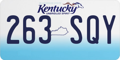 KY license plate 263SQY