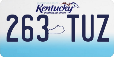 KY license plate 263TUZ