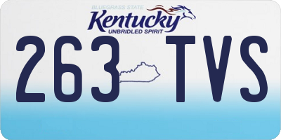 KY license plate 263TVS