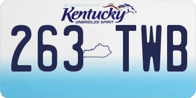 KY license plate 263TWB