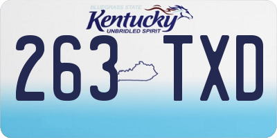 KY license plate 263TXD
