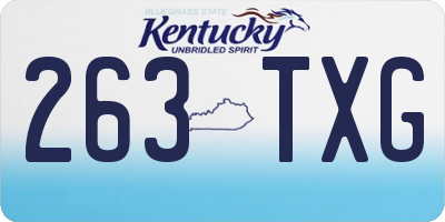 KY license plate 263TXG