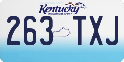 KY license plate 263TXJ
