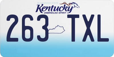 KY license plate 263TXL