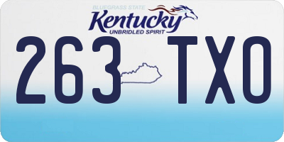 KY license plate 263TXO