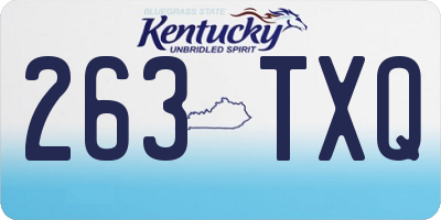 KY license plate 263TXQ