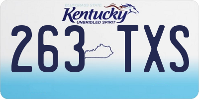 KY license plate 263TXS