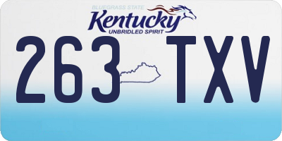 KY license plate 263TXV