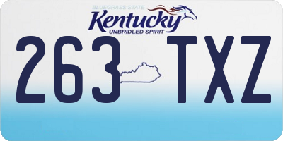 KY license plate 263TXZ