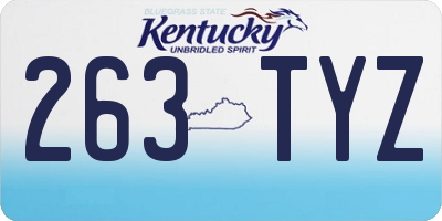 KY license plate 263TYZ