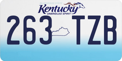 KY license plate 263TZB