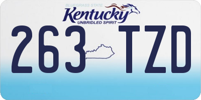 KY license plate 263TZD