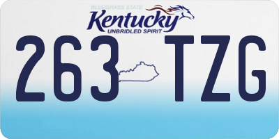 KY license plate 263TZG