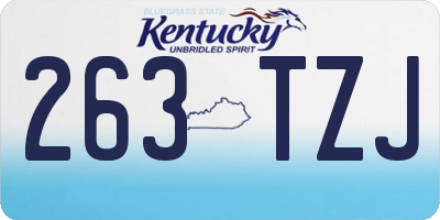 KY license plate 263TZJ