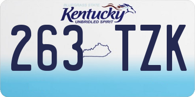 KY license plate 263TZK