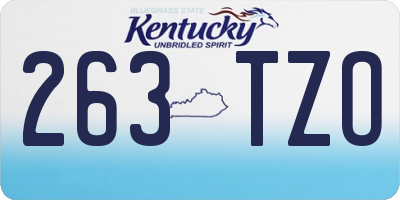 KY license plate 263TZO